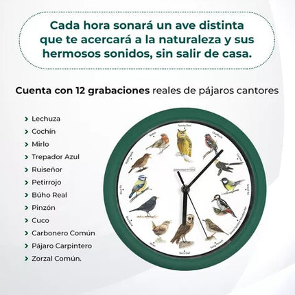 Reloj de pared con sonido de canto de pajaros - Starlyf Birdsong Clock